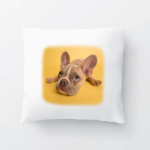 Jastučić s fotografijom kućnog ljubimca