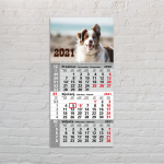 Trodjelni kalendar sa fotografijom ljubimca