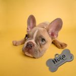 Personalizirani privjesak za pse - kost