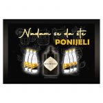 Zabavni otirač - Nadam se da ste ponijeli gin tonic